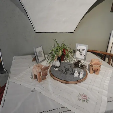 Zur Stilli Dorf 宾馆 达沃斯